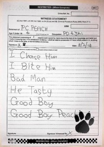 Pc Peach Report