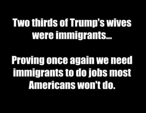 trump-immigrant-wives.jpg